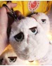Grumpy Cat Plush Key Chain
