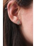 Cactus Earring 